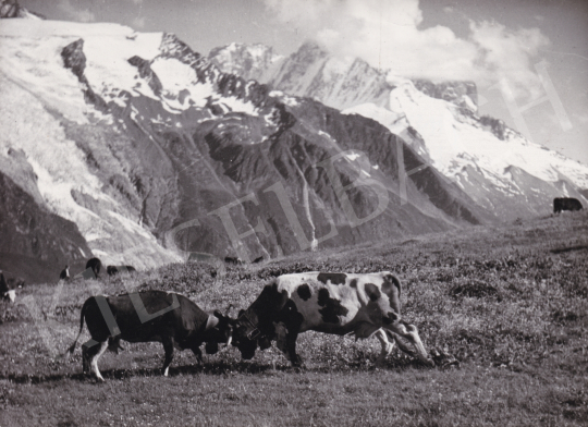 Eladó  International News Photos - A harc, 1948 festménye