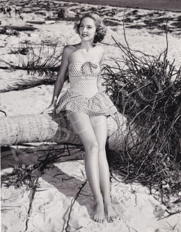  O'Grady, J. (International News Photos) - Dressy Look for '51, 1951 