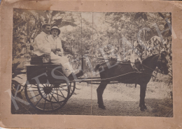  Albrecht, Kálmán - Journey of Kálmán Albrecht, c. 1905 