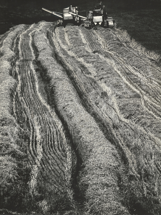  György Gebhardt - Harvest painting