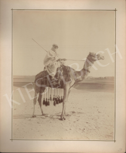 Unknown artist - Tuareg warrior (1880's)