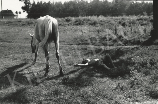 For sale  Ivan Vydareny - Horses grazing boy 's painting