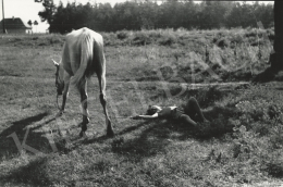  Ivan Vydareny - Horses grazing boy 
