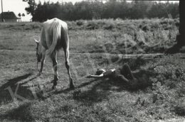  Ivan Vydareny - Horses grazing boy (1935/1975)