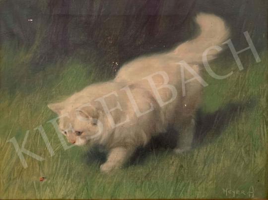 Heyer, Artur, - White Kitty with Ladybug painting