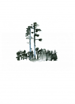   Adrienn Tillinger - Finnish landscape_03 