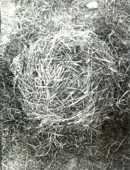  Bukta, Imre - Nest with small scythes 