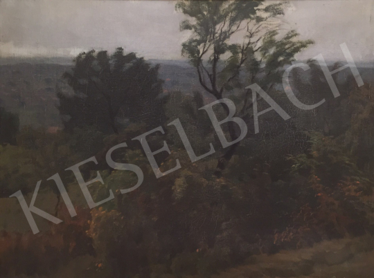 For sale Barkász, Lajos - Buda hills, 1943 's painting