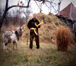  Bukta, Imre - GM maize (2011)