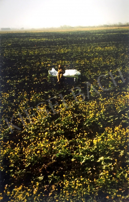  Bukta, Imre - Colzahouse (1974)