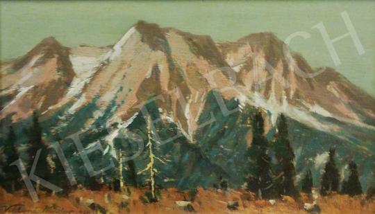 For sale Katona, Nándor - View of the Tatra Mountains, 1930 's painting