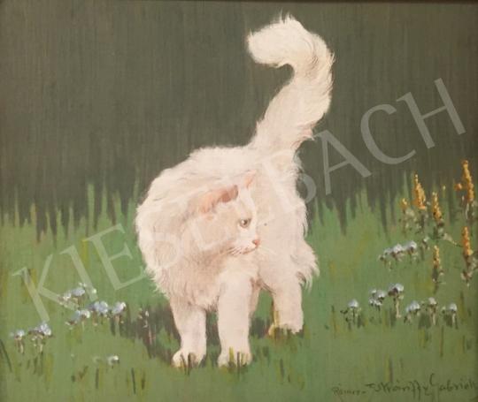 For sale Rainerné-Istvánffy, Gabriella - White Kitty in the Meadow 's painting