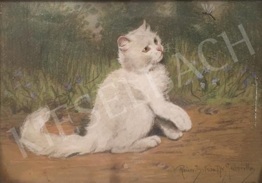 For sale Rainerné-Istvánffy, Gabriella - Kitty in the Open Air 's painting