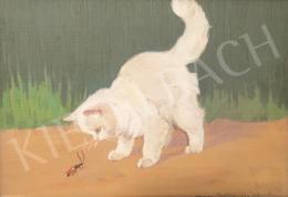 Rainerné-Istvánffy, Gabriella - White Kitty 