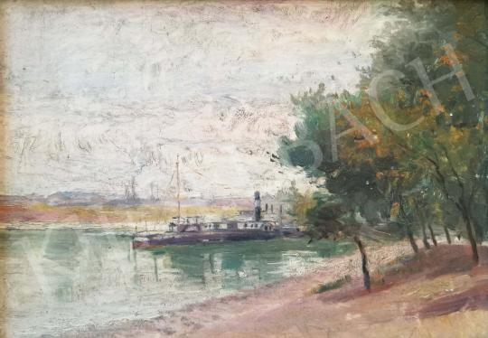 For sale Unknown painter - Steamboat on the Danube 's painting