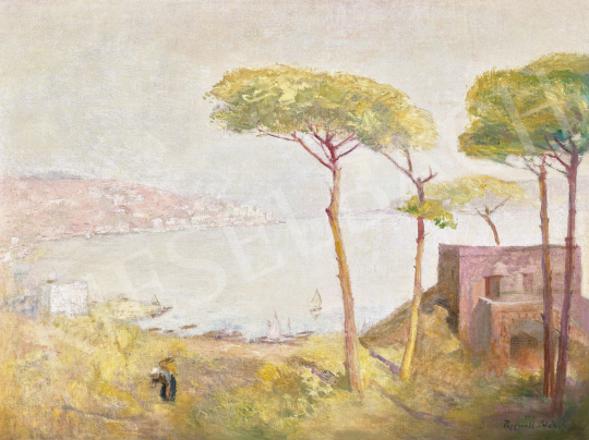  Háry, Gyula - Napolitan Bay (Pozzuoli) | 62st Autumn Auction auction / 86 Lot