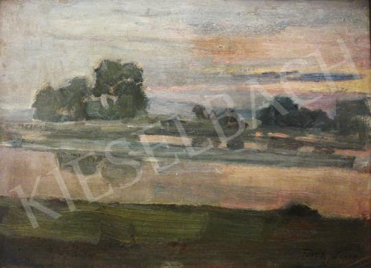 For sale Török, Jenő - Sunset on the riverbank 's painting