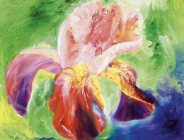  Mazzag, István - Iris, 2001 
