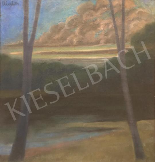 Sassy Attila - Napnyugta a vízparton festménye