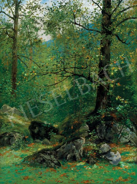 For sale Kaufmann, Adolf - Forest Detail, 1905 's painting