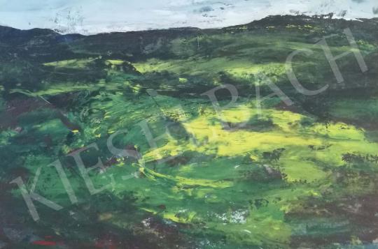 For sale Szegvári, Károly - Landscape with hill 's painting