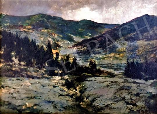 For sale Kopeczky, Raoul - Landscape with the High-Tatras 's painting