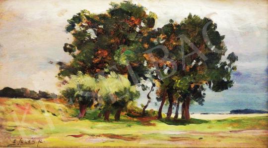  Edvi Illés, Aladár - Summer Mood with Clouds painting