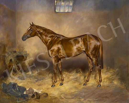  Konrád, Ignác - Race Horse (Worden), 1955 | 64st Autumn Auction auction / 12 Lot