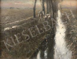 K. Spányi Béla - Hazafelé (Naplemente) 