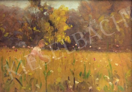 Bruck, Lajos - Young Girl in the Spring Field painting