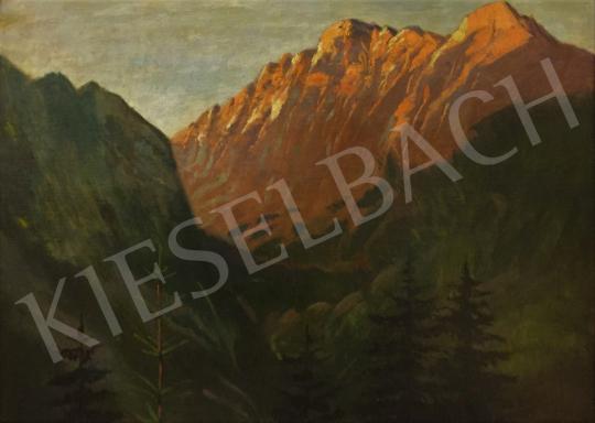 For sale Katona, Nándor - Landscape with the High Tatras 's painting
