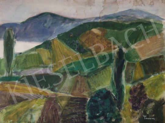 For sale Tamás, Ervin - Szigliget Landscape, 1969 's painting