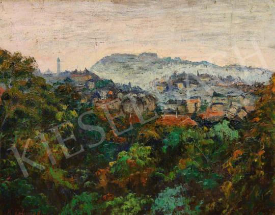 For sale Kalmár, Anna (Kéglné) - View from Gellért-Hill 's painting