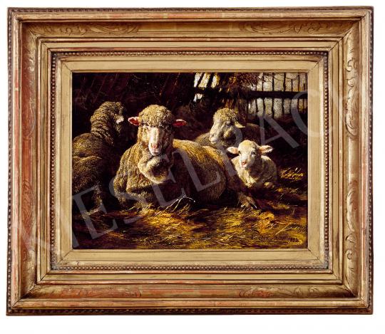 For sale Pállik, Béla - Lambs, 1883 's painting