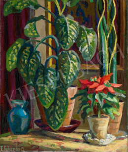 Felekiné Gáspár, Anni - Plants in the Studio 