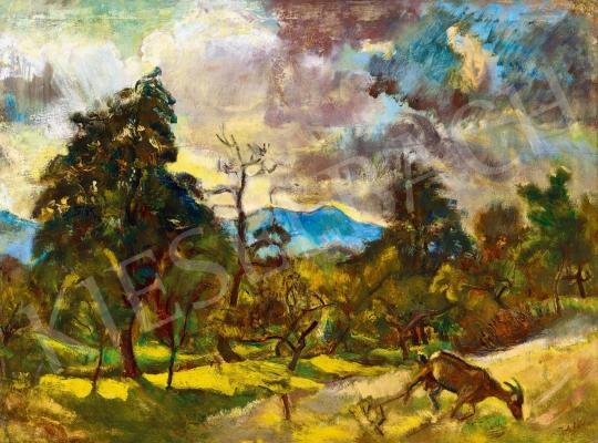 For sale  Pirk, János - Landscape in Nagybanya (Sun behind the Clouds) 's painting