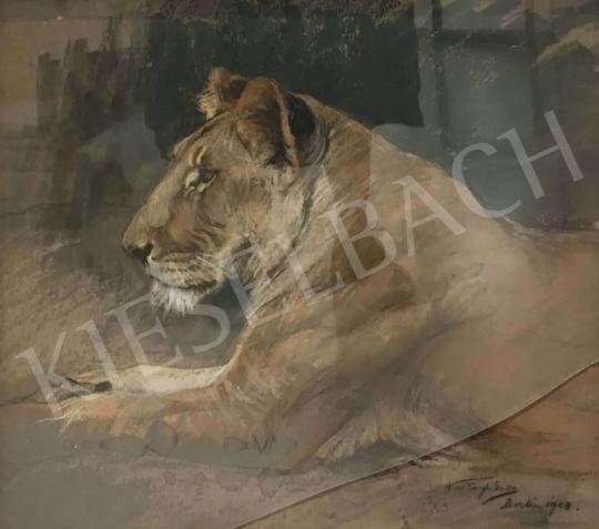  Vastagh, Géza - Lion, 1908 painting