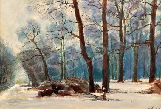 For sale  Czétényi, Vilmos - Winter City Park in Sopron  's painting