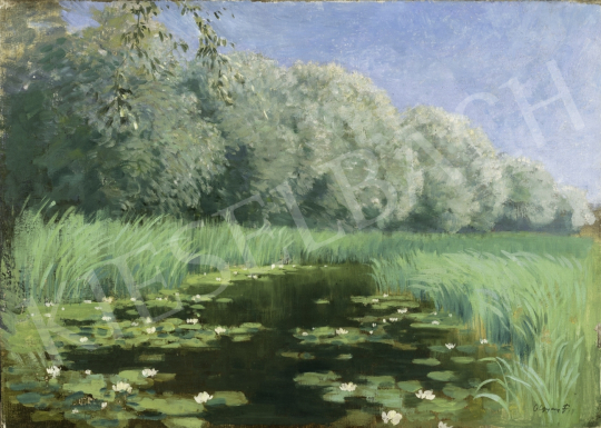 For sale Olgyay, Ferenc - Lake with Water Lilies, c. 1910 's painting