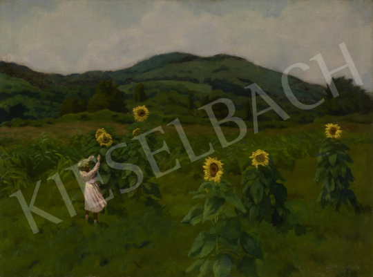 For sale Barkász, Lajos - Girl with Sunflowers, 1924 's painting