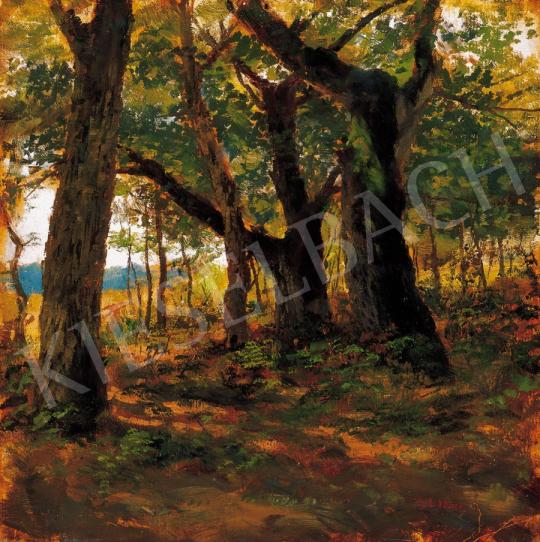 Deák Ébner, Lajos - Sunlit Grove | 22. Auction auction / 3 Lot