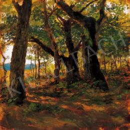 Deák Ébner, Lajos - Sunlit Grove 