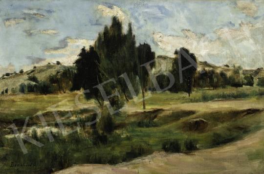 For sale  Benkhard, Ágost - Felsőbánya Landscape with Clouds 's painting