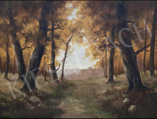 For sale  Gy. Farkas Géza  - Forest  's painting