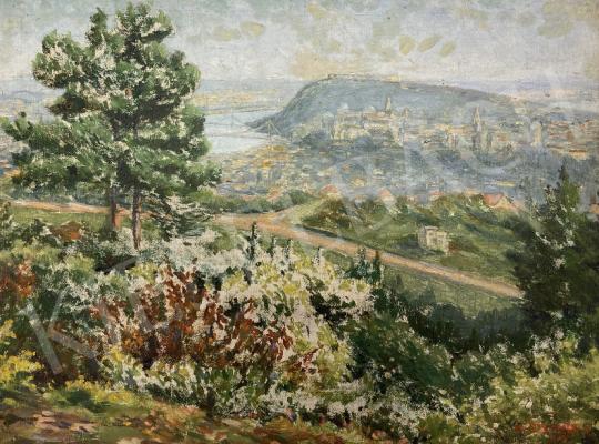 For sale  dr. Szemerey J - View in Budapest 1937 's painting