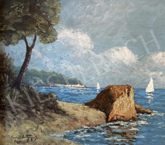  Vasvári Wertheimer Sándor  - Capri  painting