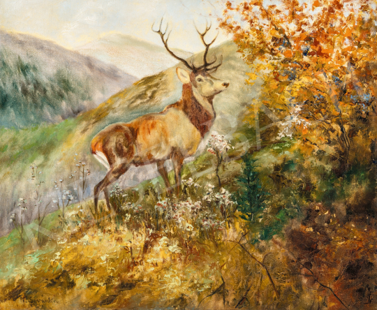  Sovánka, Károly - Deer in the Autumn Tatras | 66th Auction auction / 22 Lot