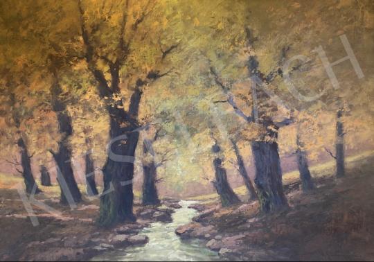 Eladó  Sashegyi József  - Erdei patak  festménye