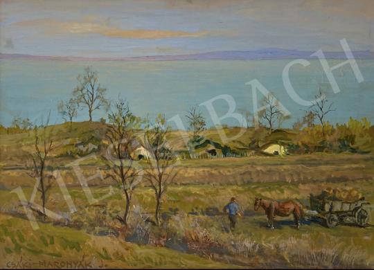  Csáki-Maronyák, József - Balatonfelvidék in Spring painting