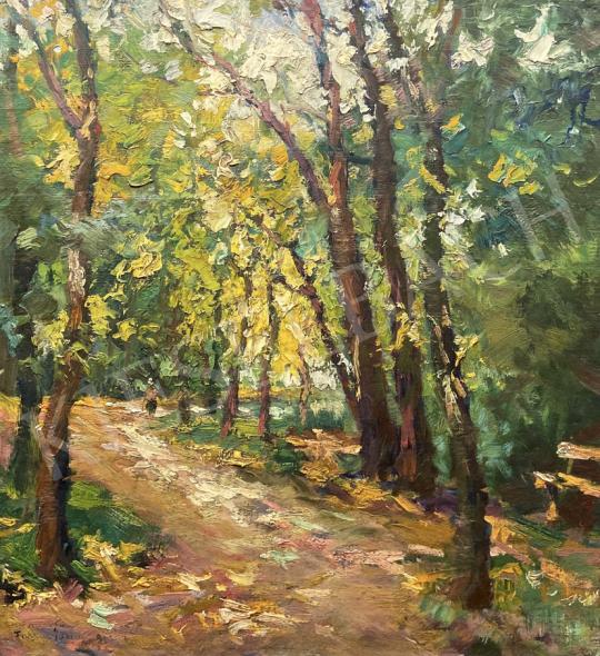 For sale  Csallóközi, Farkas Lőrinc - Promenade in Kecskemét 1923 's painting